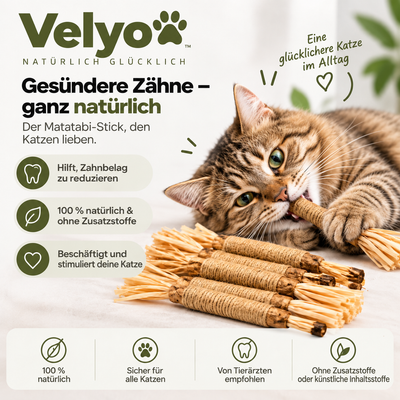 Natürliche Velyo-Zahnsticks
