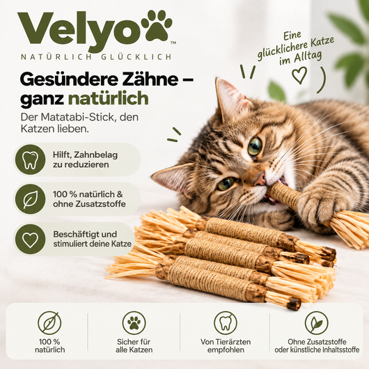 Natürliche Velyo-Zahnsticks