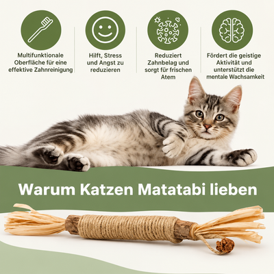 Natürliche Velyo-Zahnsticks