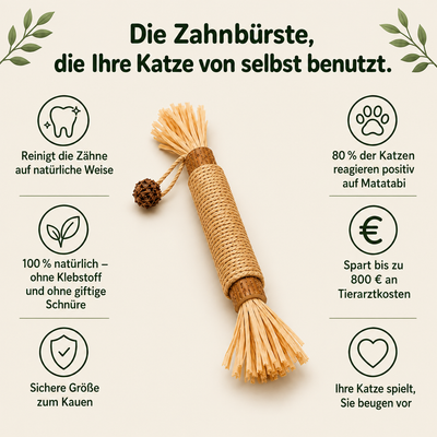 Natürliche Velyo-Zahnsticks