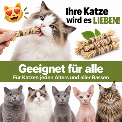 Natürliche Velyo-Zahnsticks