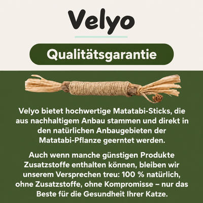 Natürliche Velyo-Zahnsticks